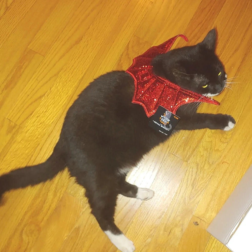 Hyde and eek Sparkly Red Cat Devil wings Halloween Costume